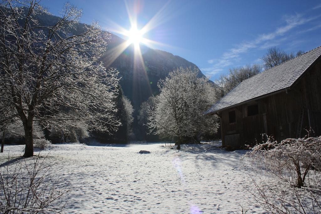 Bed and Breakfast La Clairiere Du Moulin Lepin-le-Lac Екстер'єр фото